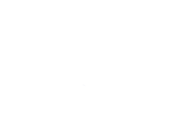Logo AmCham Bolivia